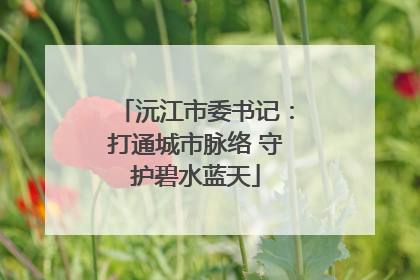 沅江市委书记：打通城市脉络 守护碧水蓝天