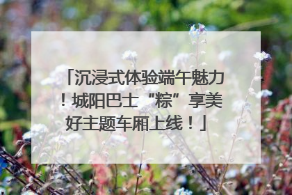 沉浸式体验端午魅力！城阳巴士“粽”享美好主题车厢上线！