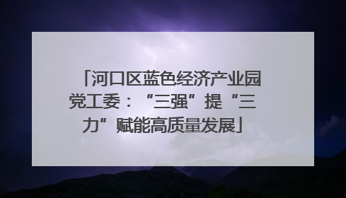 河口区蓝色经济产业园党工委：“三强”提“三力”赋能高质量发展