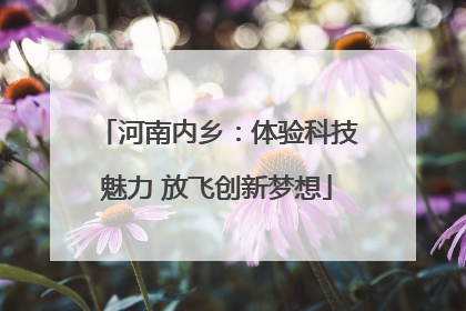 河南内乡：体验科技魅力 放飞创新梦想