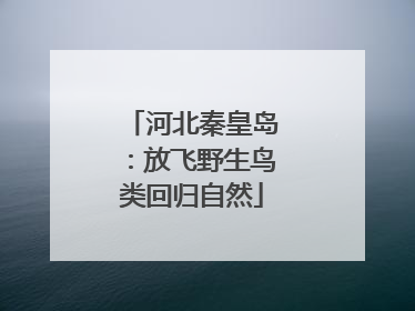 河北秦皇岛：放飞野生鸟类回归自然