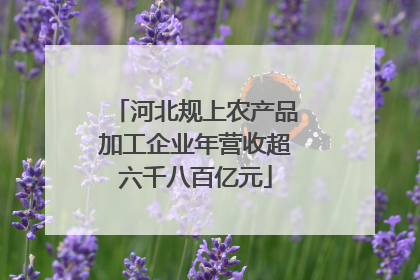 河北规上农产品加工企业年营收超六千八百亿元