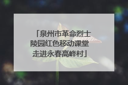 泉州市革命烈士陵园红色移动课堂走进永春高峰村