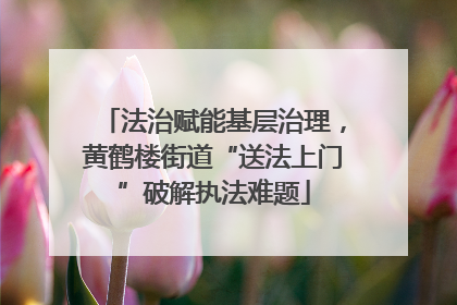 法治赋能基层治理，黄鹤楼街道“送法上门”破解执法难题