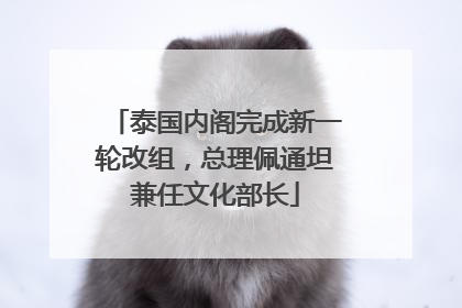 泰国内阁完成新一轮改组，总理佩通坦兼任文化部长