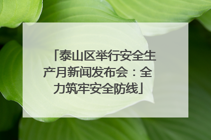 泰山区举行安全生产月新闻发布会：全力筑牢安全防线