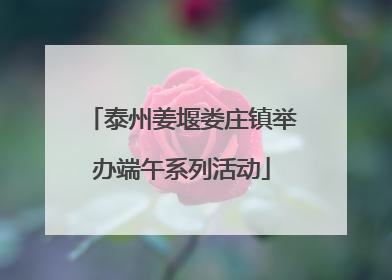 泰州姜堰娄庄镇举办端午系列活动
