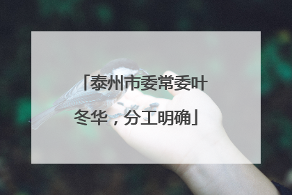 泰州市委常委叶冬华，分工明确