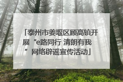 泰州市姜堰区顾高镇开展“e路同行 清朗有我”网络辟谣宣传活动