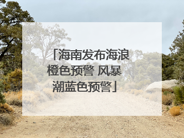 海南发布海浪橙色预警 风暴潮蓝色预警