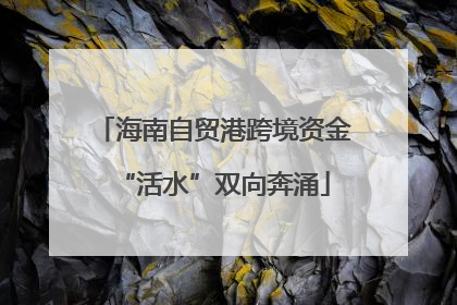 海南自贸港跨境资金“活水”双向奔涌