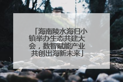 海南陵水海归小镇举办生态共建大会，数智赋能产业共创出海新未来