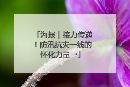 海报｜接力传递！防汛抗灾一线的怀化力量→