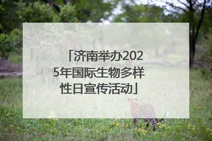 济南举办2025年国际生物多样性日宣传活动