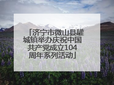 济宁市微山县驩城镇举办庆祝中国共产党成立104周年系列活动