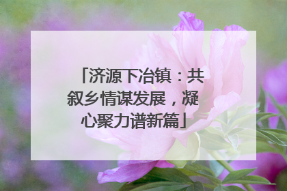 济源下冶镇：共叙乡情谋发展，凝心聚力谱新篇