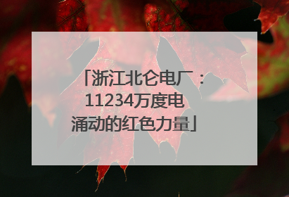 浙江北仑电厂：11234万度电涌动的红色力量