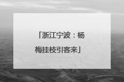 浙江宁波：杨梅挂枝引客来