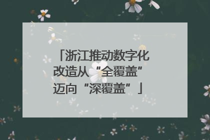 浙江推动数字化改造从“全覆盖”迈向“深覆盖”