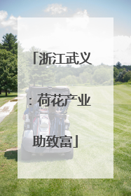 浙江武义：荷花产业助致富