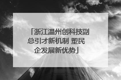浙江温州创科技副总引才新机制 塑民企发展新优势