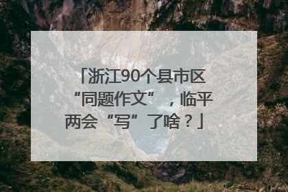 浙江90个县市区“同题作文”，临平两会“写”了啥？