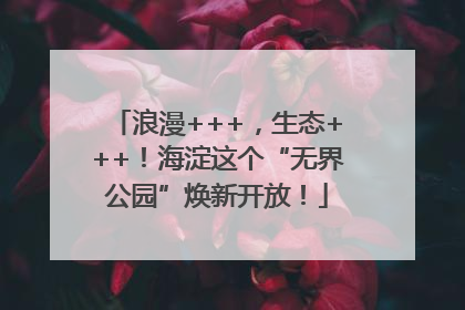浪漫+++，生态+++！海淀这个“无界公园”焕新开放！