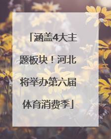 涵盖4大主题板块！河北将举办第六届体育消费季