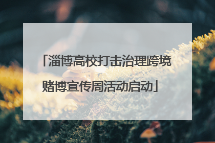 淄博高校打击治理跨境赌博宣传周活动启动