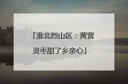 淮北烈山区：黄营灵枣甜了乡亲心
