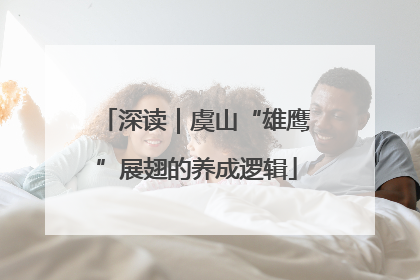 深读｜虞山“雄鹰”展翅的养成逻辑