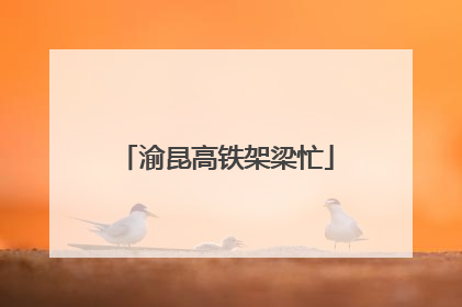渝昆高铁架梁忙