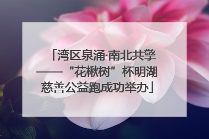 湾区泉涌·南北共擎——“花楸树”杯明湖慈善公益跑成功举办