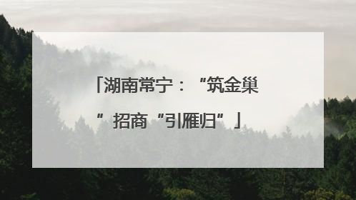湖南常宁：“筑金巢”招商“引雁归”