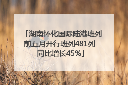 湖南怀化国际陆港班列前五月开行班列481列 同比增长45%
