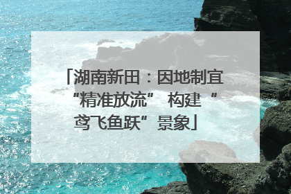 湖南新田：因地制宜“精准放流” 构建“鸢飞鱼跃”景象