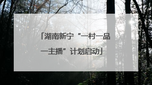 湖南新宁“一村一品一主播”计划启动