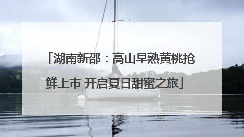 湖南新邵：高山早熟黄桃抢鲜上市 开启夏日甜蜜之旅