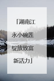 湖南江永小碗莲绽放致富新活力