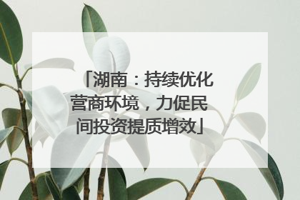 湖南：持续优化营商环境，力促民间投资提质增效