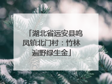 湖北省远安县鸣凤镇北门村：竹林遍野绿生金