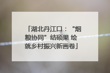 湖北丹江口：“烟粮协同”结硕果 绘就乡村振兴新画卷