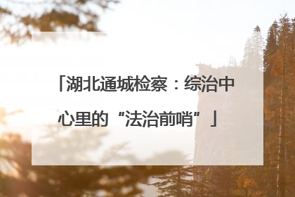 湖北通城检察：综治中心里的“法治前哨”