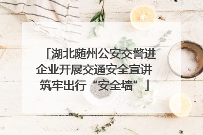 湖北随州公安交警进企业开展交通安全宣讲筑牢出行“安全墙”