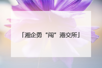 湘企勇“闯”港交所
