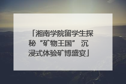 湘南学院留学生探秘“矿物王国” 沉浸式体验矿博盛宴