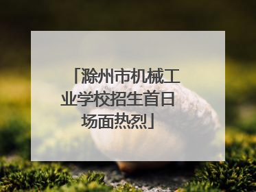 滁州市机械工业学校招生首日场面热烈