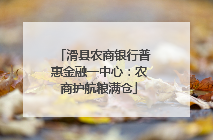 滑县农商银行普惠金融一中心：农商护航粮满仓