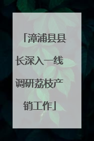 漳浦县县长深入一线调研荔枝产销工作