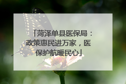 菏泽单县医保局：政策惠民进万家，医保护航暖民心
